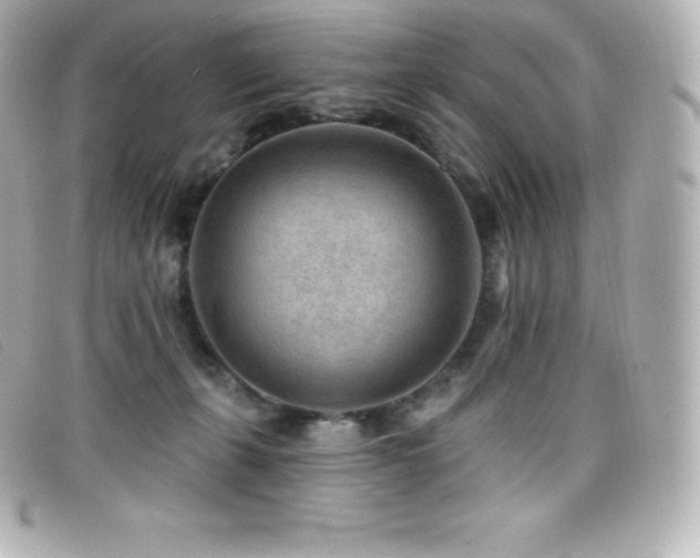 X0000099480271200805091615