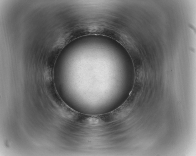 X0000099480272200805091615