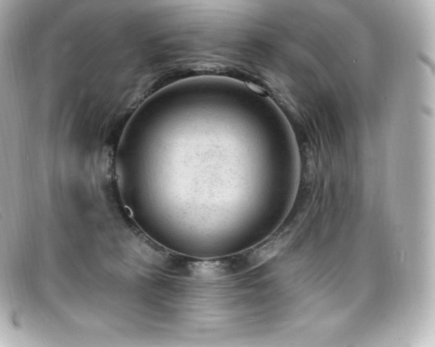 X0000099480273200805091615