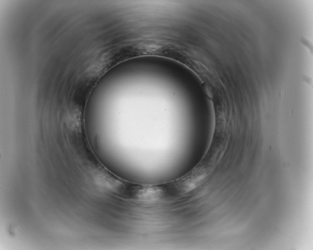 X0000099480274200805091615