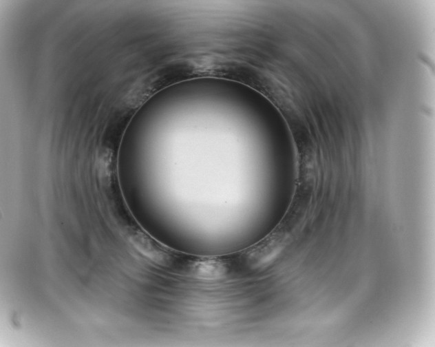 X0000099480275200805091615