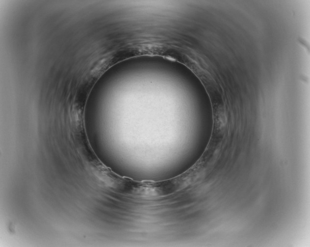 X0000099480276200805091615