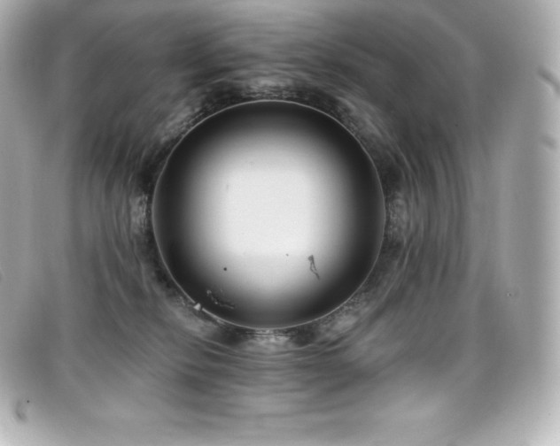 X0000099480278200805091615