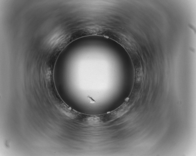 X0000099480279200805091615