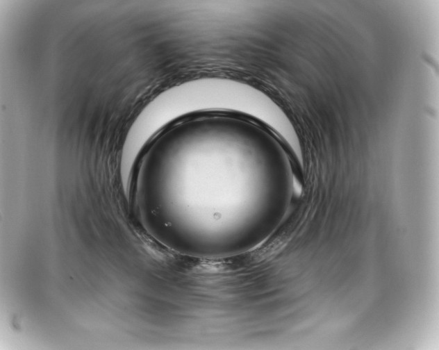 X0000099480280200805091615