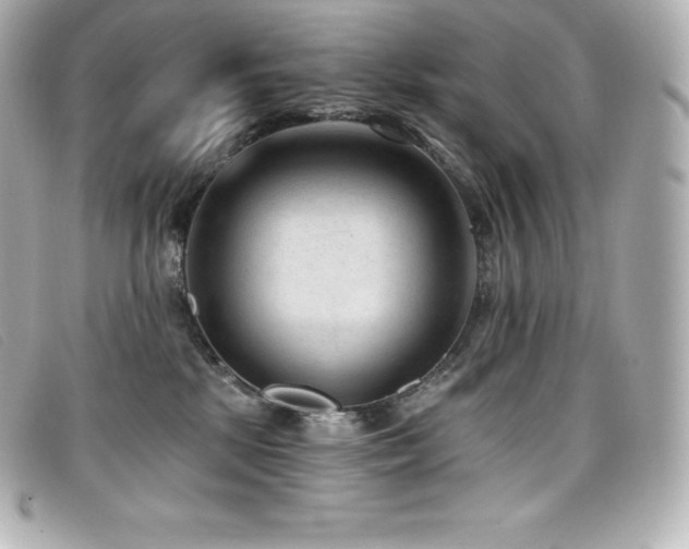 X0000099480281200805091615