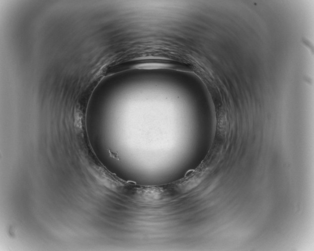 X0000099480282200805091615