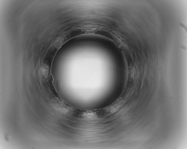 X0000099480283200805091615