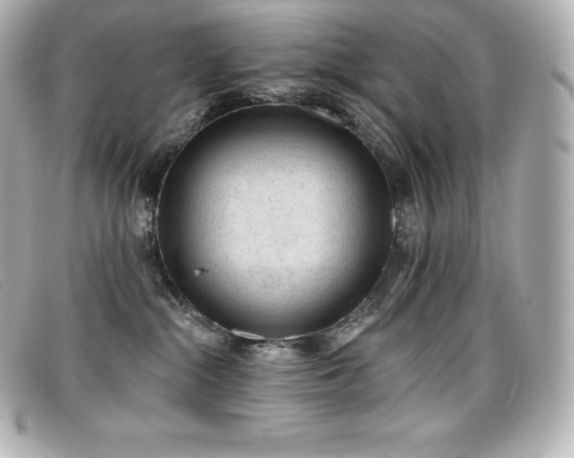 X0000099480284200805091615