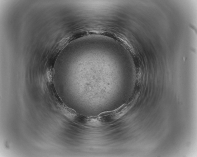 X0000099480285200805091615