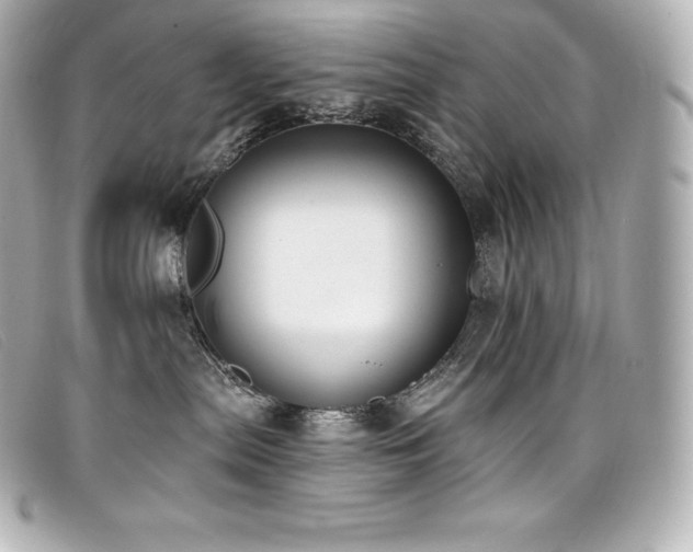 X0000099480287200805091615