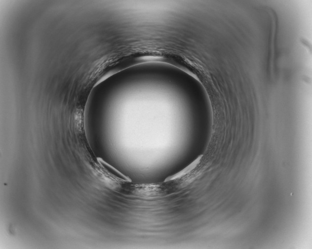 X0000099480288200805091615