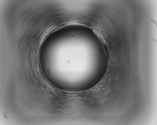 X0000099480289200805091614