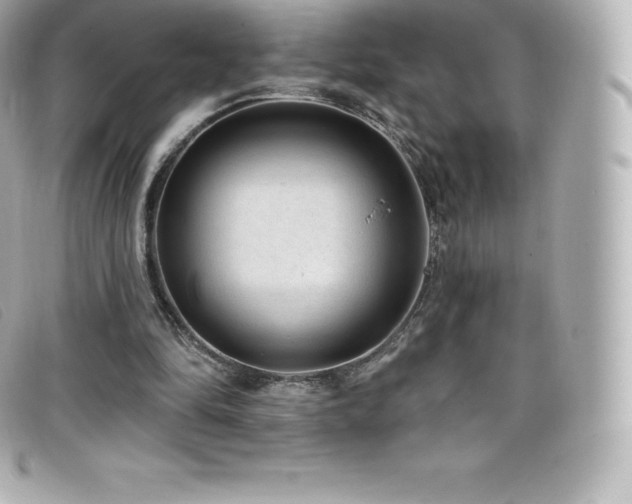 X0000099480294200805091614