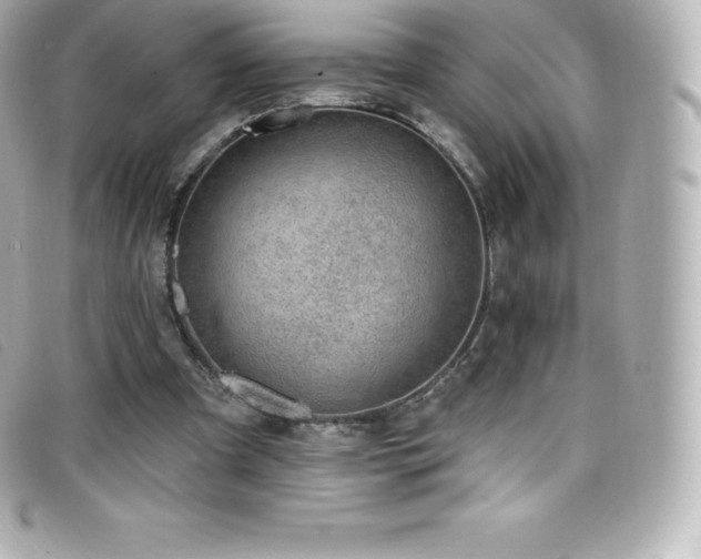 X0000099480297200805091614