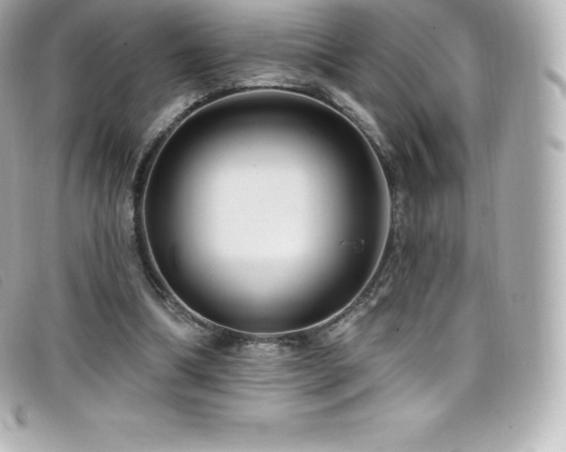 X0000099480298200805091614