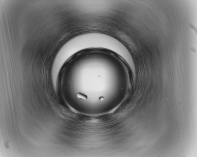 X0000099480312200805091614