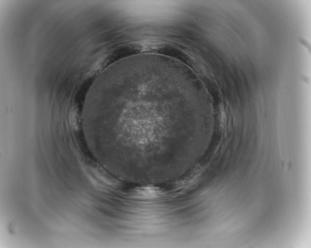 X0000099480316200805091614