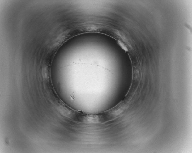 X0000099480317200805091614