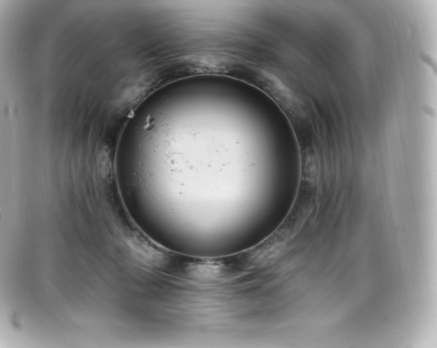X0000099480318200805091614