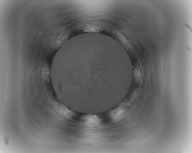 X0000099480322200805091614
