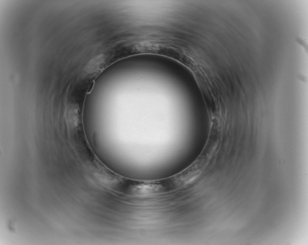 X0000099480323200805091614