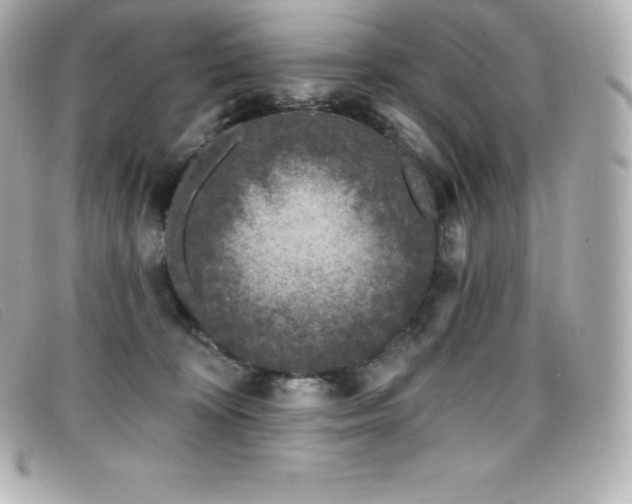X0000099480324200805091614