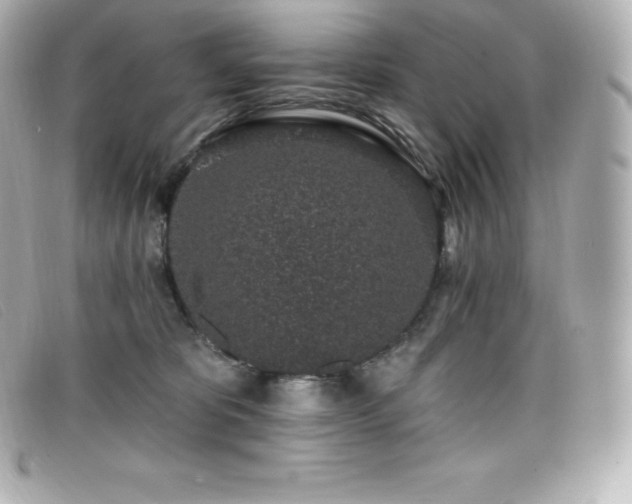 X0000099480325200805091614