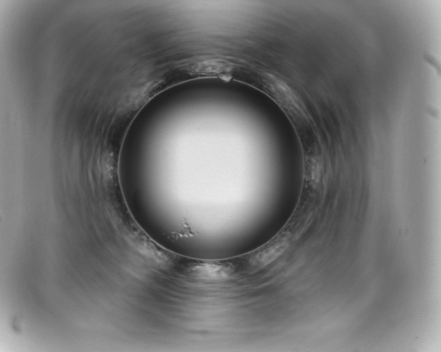 X0000099480326200805091614