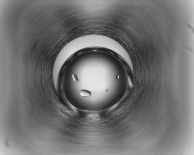 X0000099480328200805091614