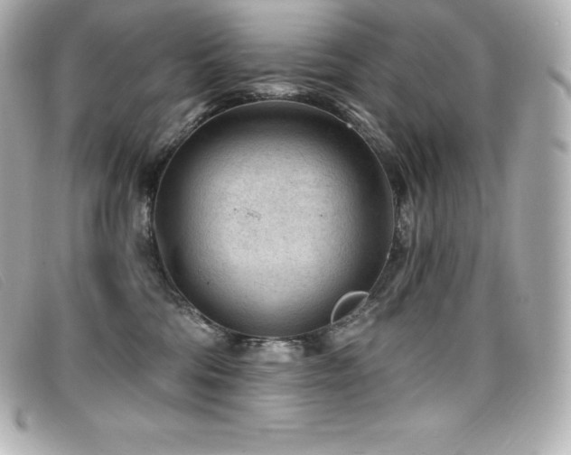 X0000099480330200805091614