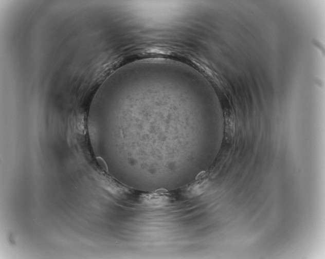 X0000099480331200805091614