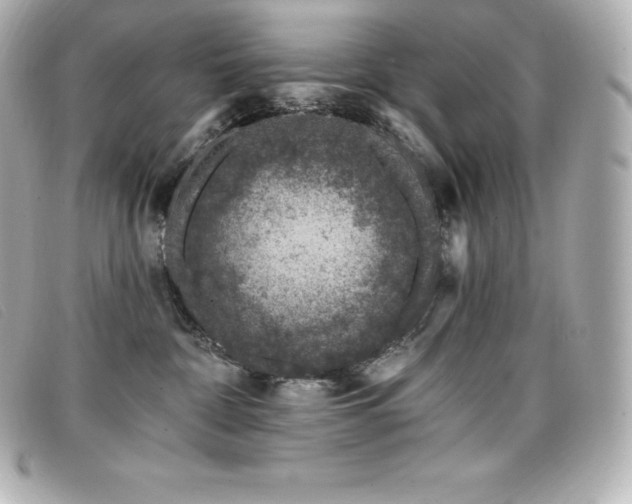 X0000099480332200805091614