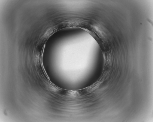 X0000099480333200805091614
