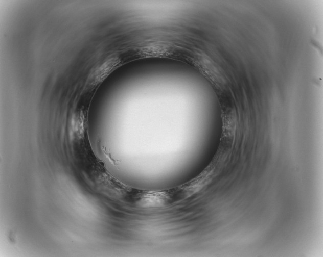 X0000099480334200805091614