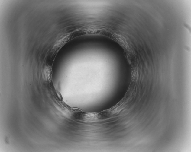 X0000099480335200805091614