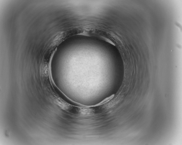 X0000099480336200805091614