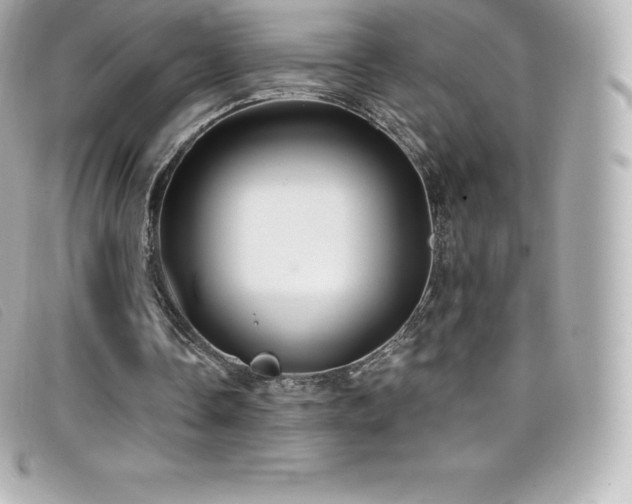 X0000099480338200805091613