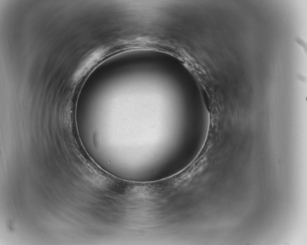 X0000099480341200805091613