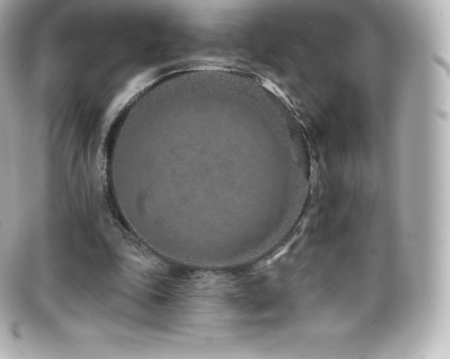 X0000099480343200805091613