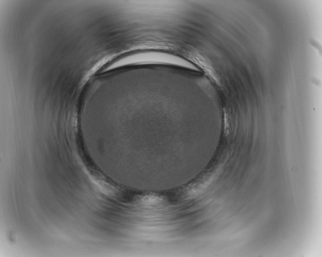 X0000099480348200805091613