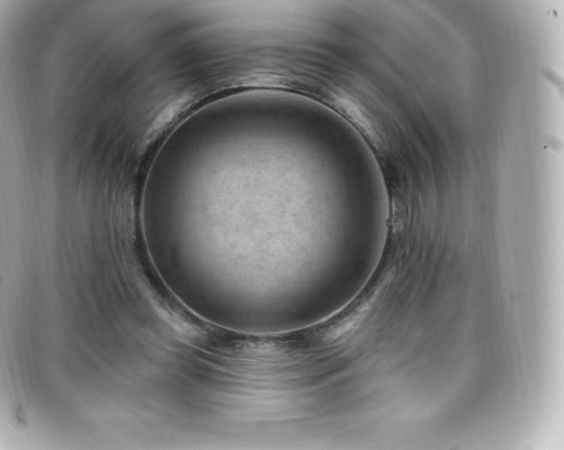 X0000099480349200805091613