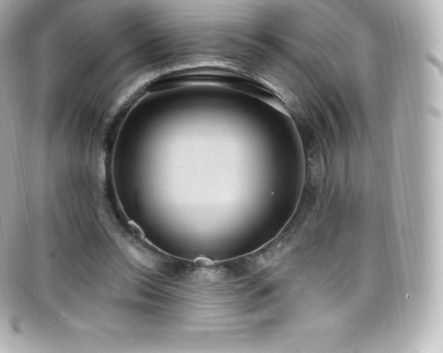 X0000099480350200805091613