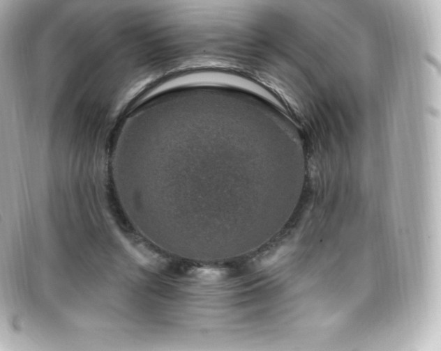 X0000099480352200805091613