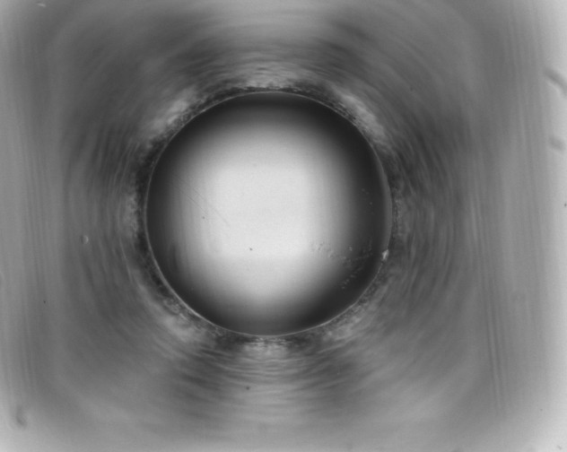 X0000099480354200805091613