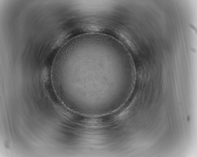 X0000099480359200805091613