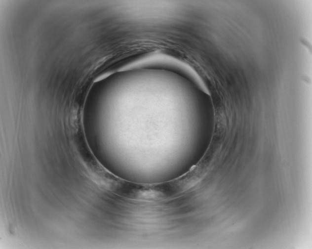 X0000099480360200805091613