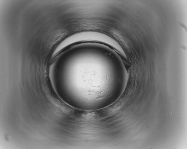 X0000099480362200805091613