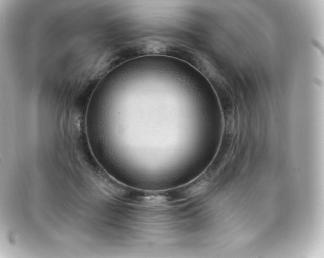 X0000099480363200805091613