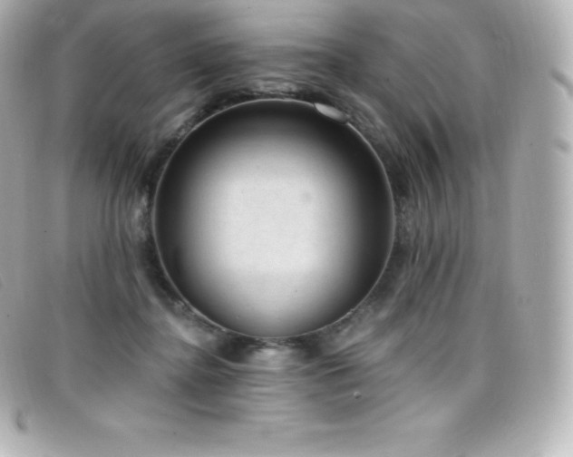 X0000099480364200805091613